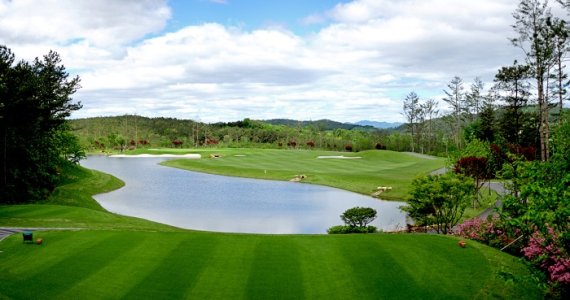 ▶더 시에나 제공