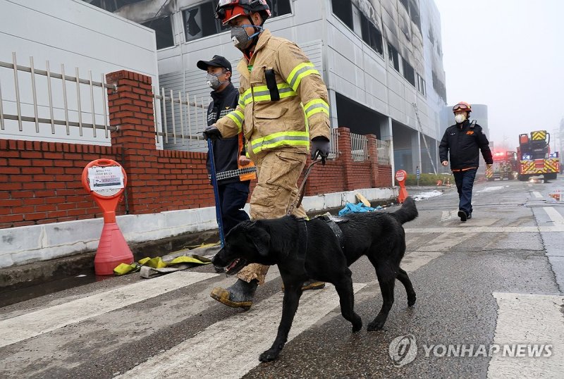 화재 현장에 구조견 투입 (출처=연합뉴스)