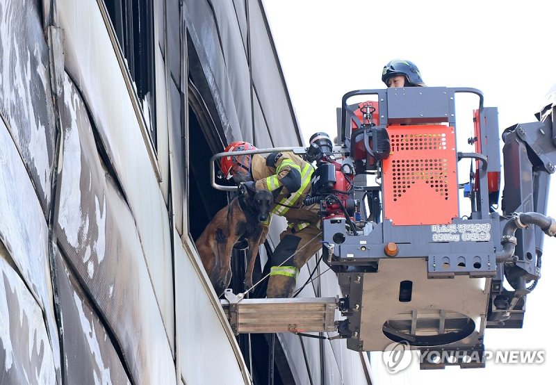 구조견과 함께 진입 (출처=연합뉴스)