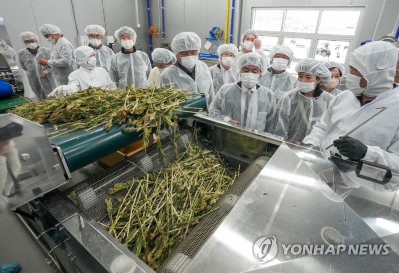 양구군 농산물가공지원센터 (출처=연합뉴스)