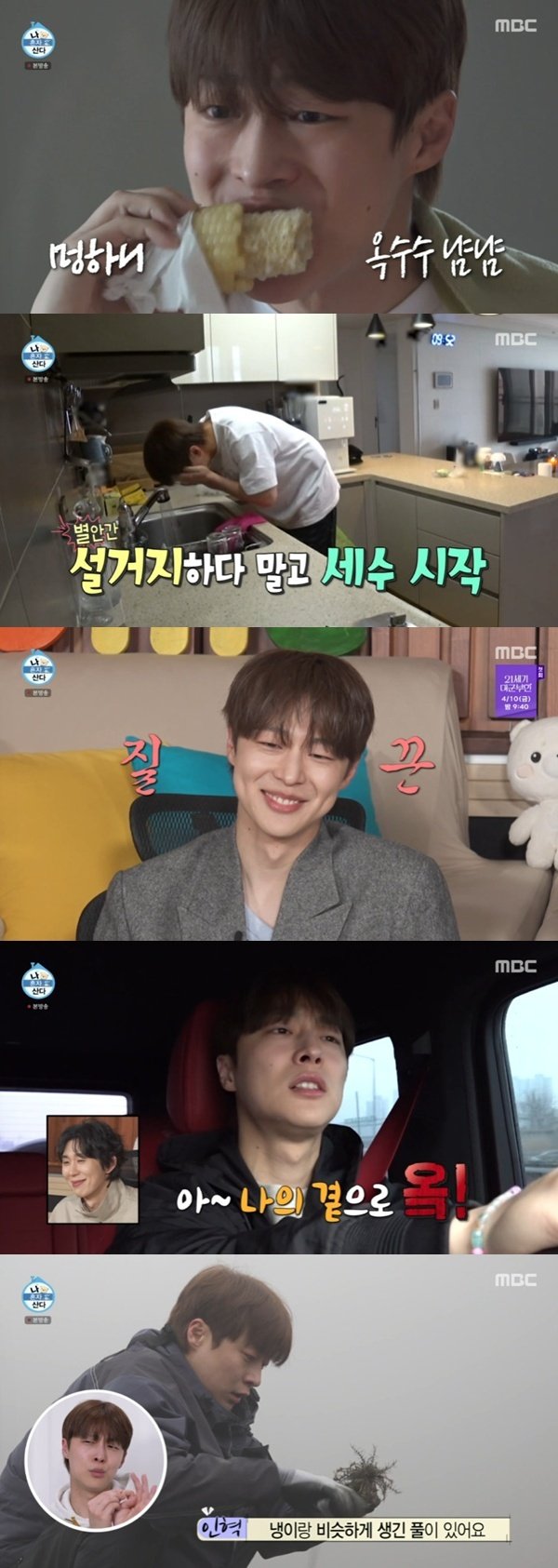 배인혁, '나혼산'서 노래&middot;요리 실력 공개…"자취 13년 차" [RE:TV]