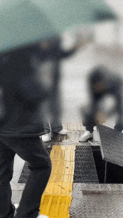 일본을 여행하던 한국인 가족이 하수구에 갇힌 백로를 구조하는 장면. /사진=뉴시스