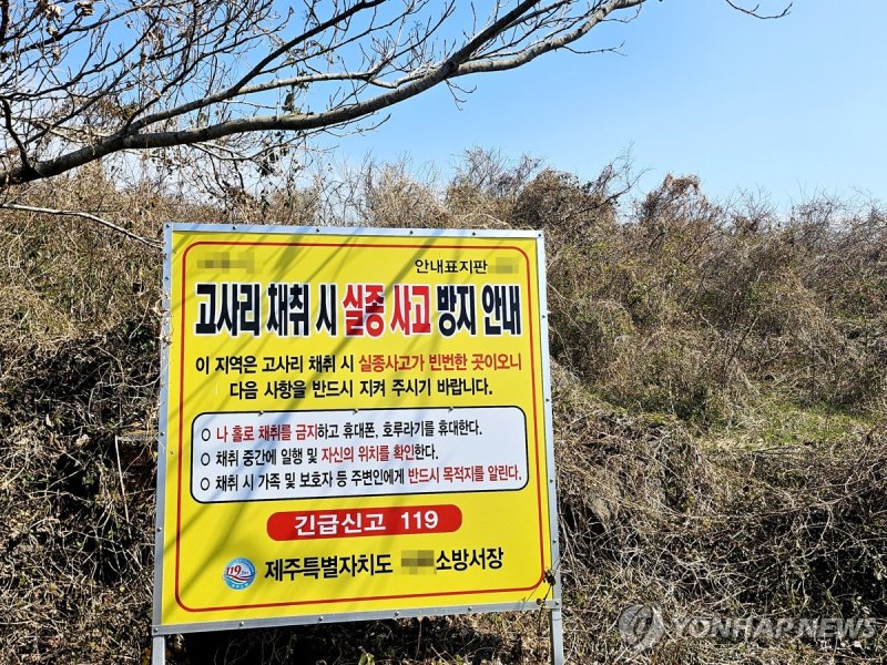 제주 고사리 채취 길잃음 사고 주의 안내 표지판 (출처=연합뉴스)