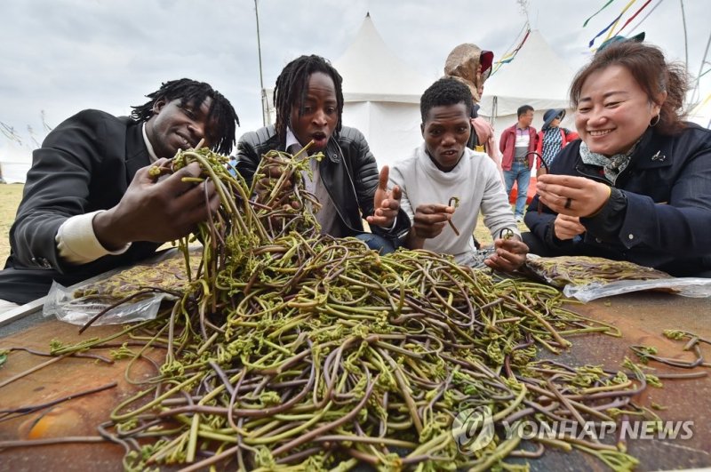 한라산 청정 고사리 축제에서 삶은 고사리 살펴보는 외국인 관광객들 (출처=연합뉴스)