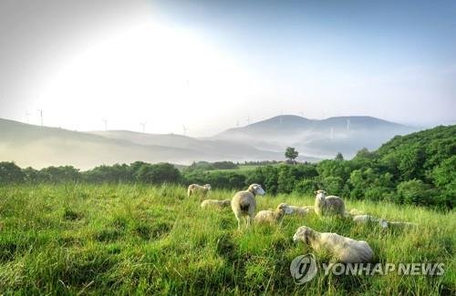 삼양라운드힐 (출처=연합뉴스)