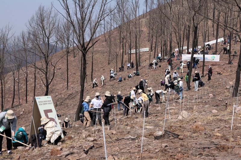 유한킴벌리, ‘우리강산 푸르게 푸르게 2026 신혼부부 나무심기’ 개최 유한킴벌리는 2026년 3월 28일 경북 안동 산불피해지에서 ‘우리강산 푸르게 푸르게 2026 신혼부부 나무심기’를 진행하고 있다. 신혼부부 나무심기는 ‘우리강산 푸르게 푸르게’를 대표하는 시민참여 프로그램으로, 1985년 시작되어 올해로 42년차를 맞는다. 새로운 첫발을 내딛는 예비부부, 신혼부부가 직접 나무를 심으며 미래세대를 위한 건강한 숲을 만드는 데 기여한다는 취지로 매년 개최해 오고 있다. 사진=유한킴벌리 제공