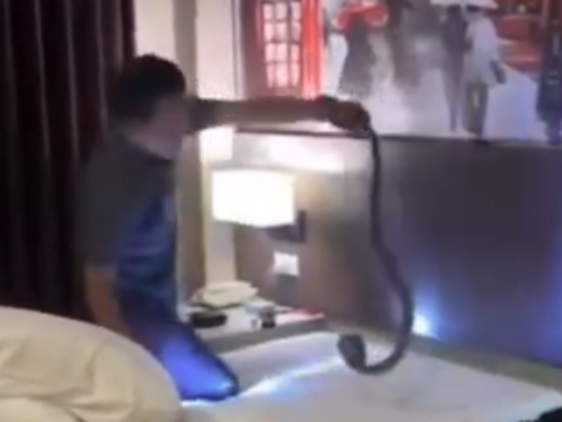 태국 유명 관광지 호텔 객실에서 잠을 자던 관광객 목 위로 코브라가 지나가는 아찔한 사고가 발생했다. /사진=엑스(pureguava10300)