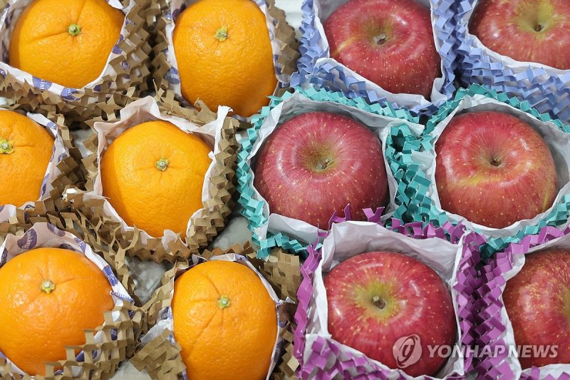 종이 포장재 (출처=연합뉴스)