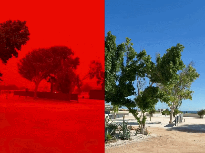 /사진=샤크 베이 캐러번 공원 페이스북