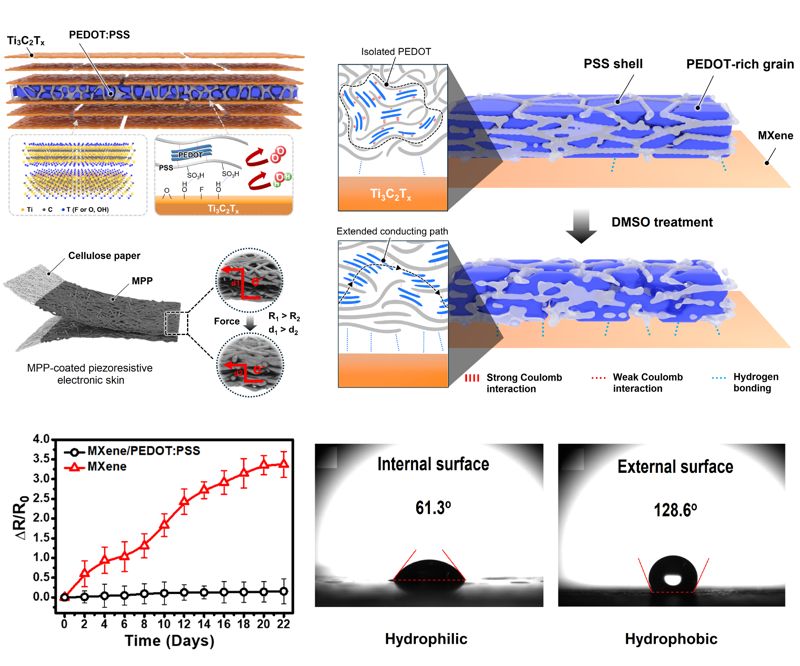 전자피부 개념도. 고감도, 산화 안정성, 분해 가능성을 동시에 갖춘 야누스 구조 전자피부의 개념도. 피부 안쪽은 친수성, 바깥쪽은 소수성으로 설계돼 다양한 인체 움직임을 안정적으로 감지한다. 울산대 에너지화학공학부 에너지분자공학전공 이승구 교수 연구팀 제공