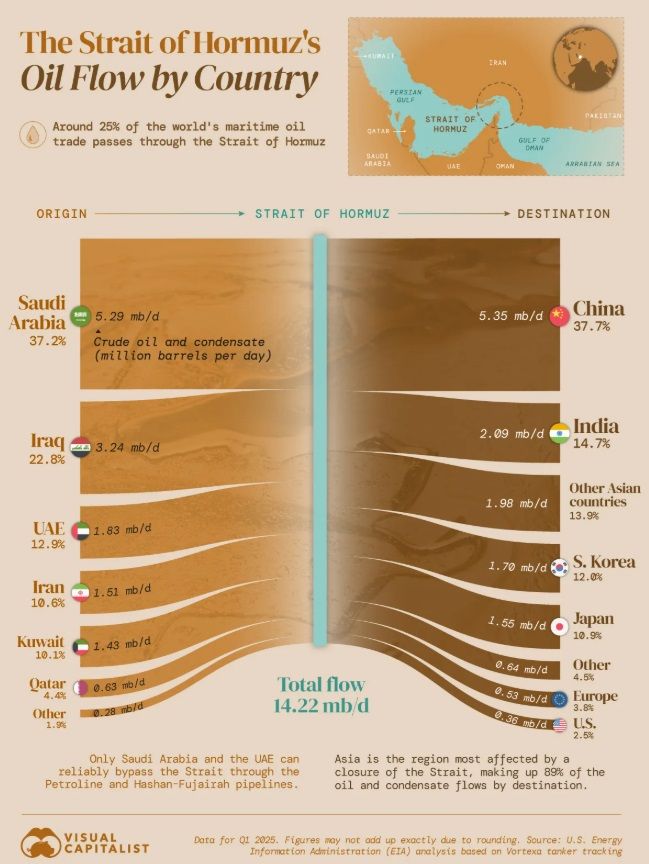 <국가별 호르무즈해협 석유 무역 이용 비율> *2025년 1분기 기준 -수출국: 사우디아라비아 37.2%/이라크 22.8%, 아랍에미리트연합(UAE) 12.9%/ 이란 10.6%/ 쿠웨이트 10.1%/ 카타르 4.4%/ 기타 1.9% -수입국: 중국 37.7%/ 인도 14.7%/ 기타 아시아 13.9%/ 한국 12%/ 일본 10.9%/ 기타 4.5%/ 유럽 3.8%/ 미국 2.5% *자료: 비주얼캐피털리스트