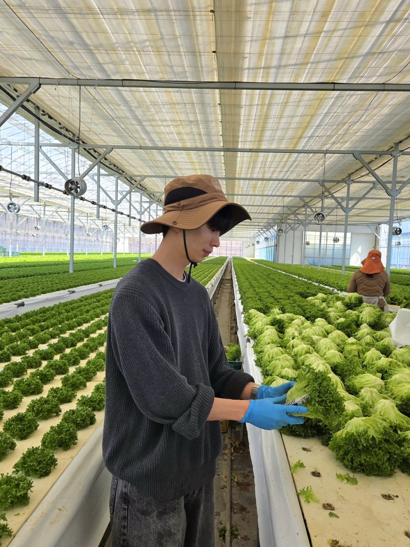지난달 5일 전북 진안군 샐러디팜에서 박경호 기자가 농산물을 수확하고 있다.