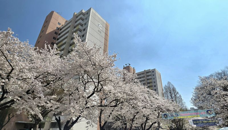 상계동 아파트 보러 다니던 젊은 부부들 다 어디 감?