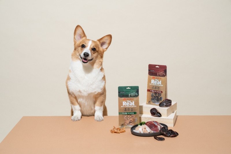 더리얼 저키 제품 홍보 이미지 하림펫푸드 제공