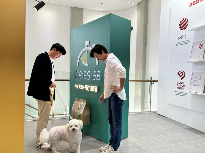 하림펫푸드 해피댄스스튜디오에서 강아지가 투어하고 있다. 하림펫푸드 제공