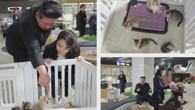 아빠와 딸인데 사진 구도가?.. 北 김주애의 도발적인 행동들