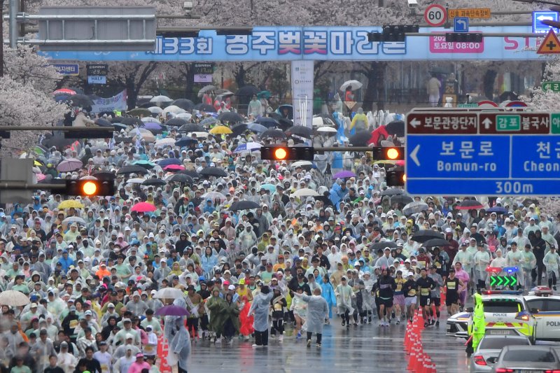 지난달 4일 경북 경주시 보문단지에서 열린 제33회 경주벚꽃미라톤 대회에서 참가자들이 출발 신호에 맞춰 힘차게 달리고 있다. 뉴스1