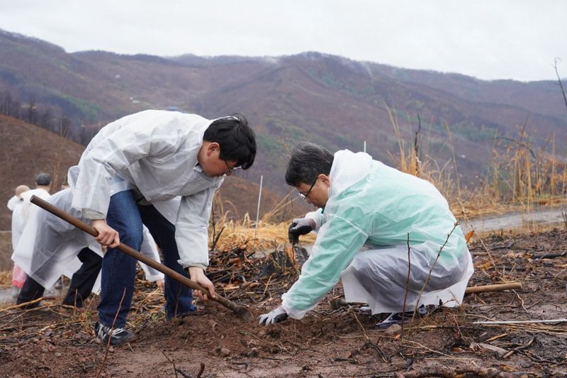 박은식 산림청장(오른쪽)이 4일 경북 안동시 풍천면 임야에서 열린 산불피해지 나무심기 행사에서 묘목을 심고 있다. 산림청 제공