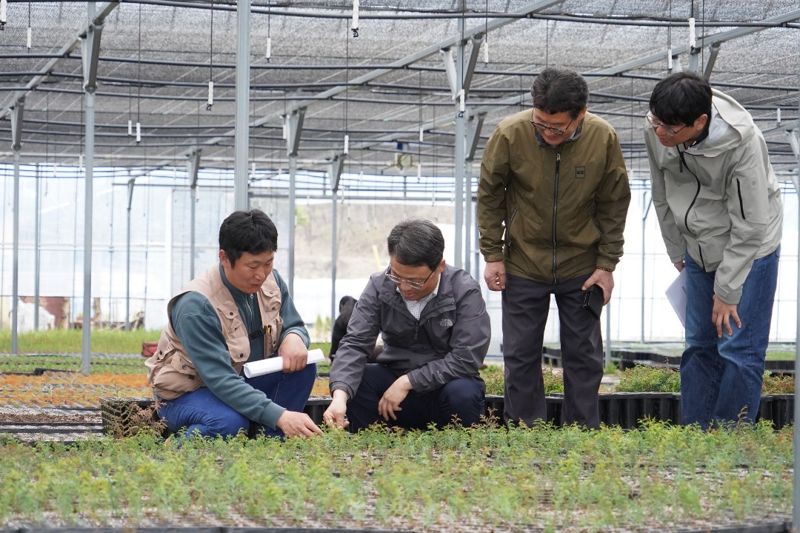 박은식 산림청장(왼쪽 두번재)이 4일 경북 상주시 내서면 소재 양묘장인 상주농원을 찾아 묘목 생산 현장을 살피고 있다. 산림청 제공