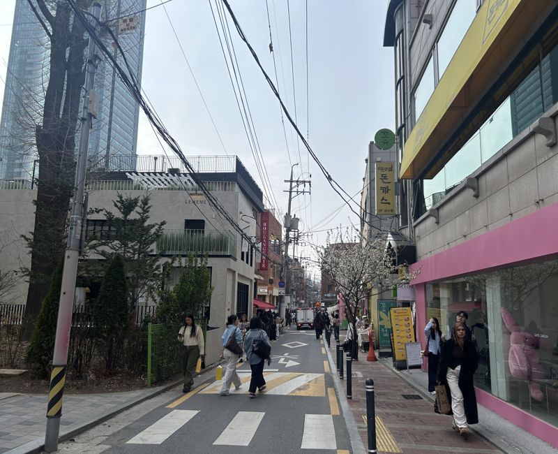 방문객들이 서울숲 인근 아뜰리에길을 걸어가고 있다. 사진=강명연 기자