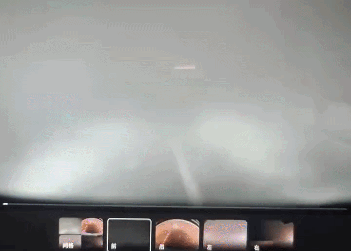 시야 확보가 완전히 불가능한 극한의 상황에서도 위험을 미리 감지해 사고를 회피해 화제가 된 테슬라 전기차의 자율주행 영상. /사진=X(dom_lucre)