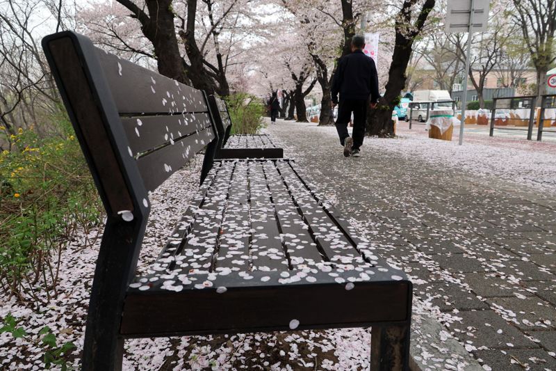 사진=박범준 기자