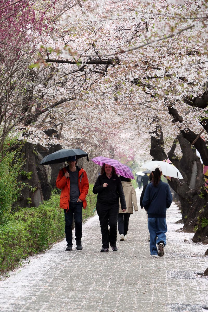 사진=박범준 기자