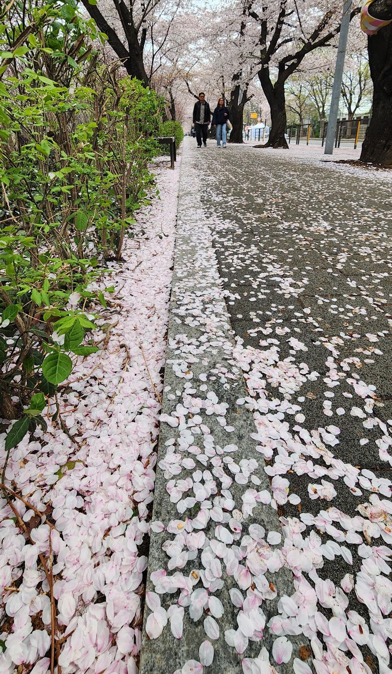 사진=박범준 기자