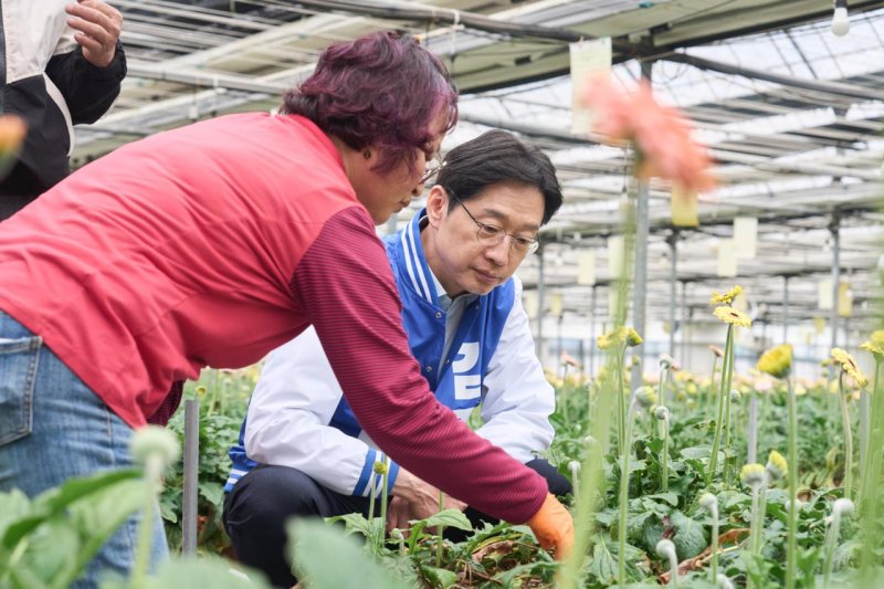 [김해=뉴시스]16일 오전 김경수 더불어민주당 경남도지사 후보가 김해 대동면에서 화훼업계 간담회를 마친 후 꽃 재배 하우스를 찾아 생육 상태를 살펴보고 있다.(사진=김경수후보 선거사무소 제공) 0226.04.06. photo@newsis.com