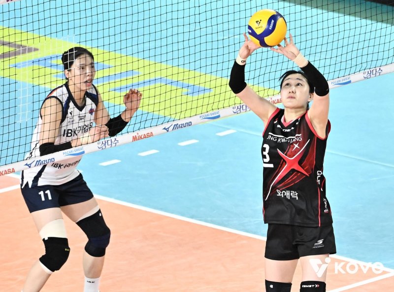 토스하는 세터 염혜선(오른쪽) (출처=연합뉴스)