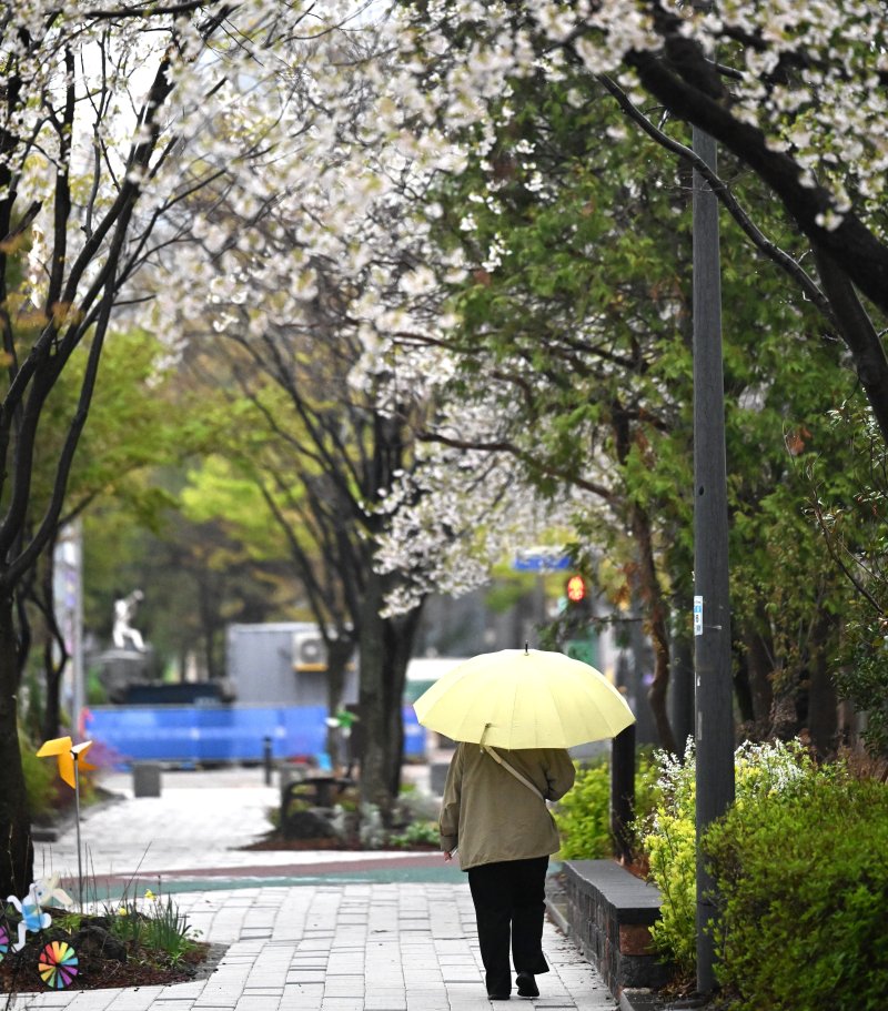 [광주=뉴시스] 이현행 기자 = 광주·전남에 최대 120㎜ 비가 예보된 9일 오전 광주 서구 치평동 한 거리에서 시민이 우산을 쓰고 출근길에 나서고 있다. 2026.04.09. lhh@newsis.com