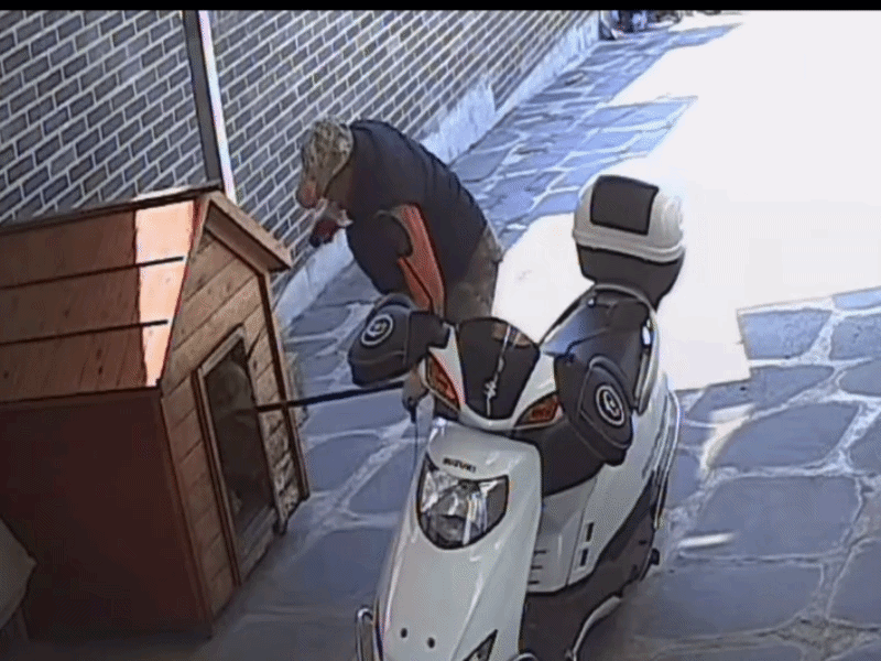 타인의 집에 무단 침입해 반려견을 산 채로 끌고 간 60대 개장수가 경찰에 입건됐다./사진=인스타그램(___leejongwoo)