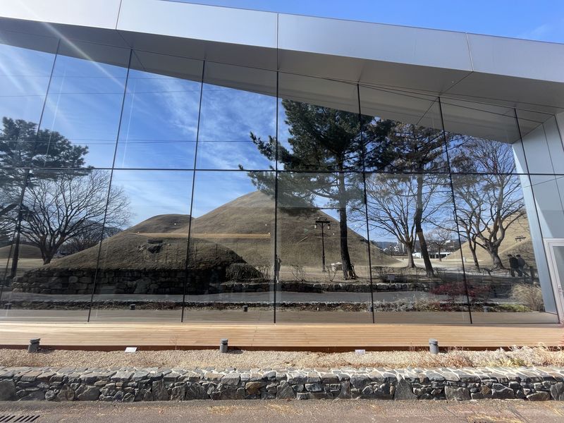 오아르미술관 외부 창에 투영된 대릉원 고분군. /사진=서윤경 기자