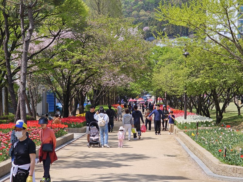 "우리 그냥 차 팔까? 아니, 애 힘들게 할 수는 없잖아"… 리터당 2천 원을 버티는 가장들 [얼마면 돼]