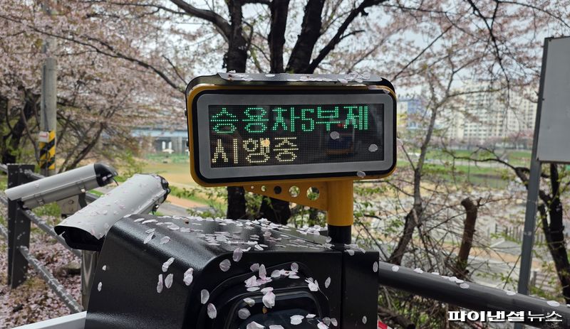 [르포]"민원인도 안 돼요?" 5부제 시행 속 '주차장 뺑뺑이'…지도앱 연동 요구 속출