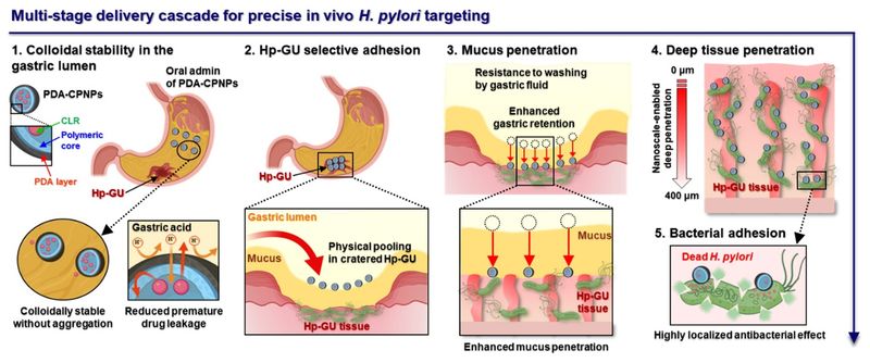 유진욱 교수팀 연구 이미지. 부산대학교 제공