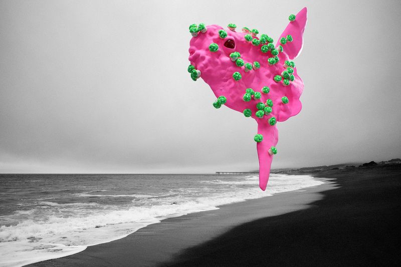 다니엘 경'SunFishMeetstheBlackSea I'