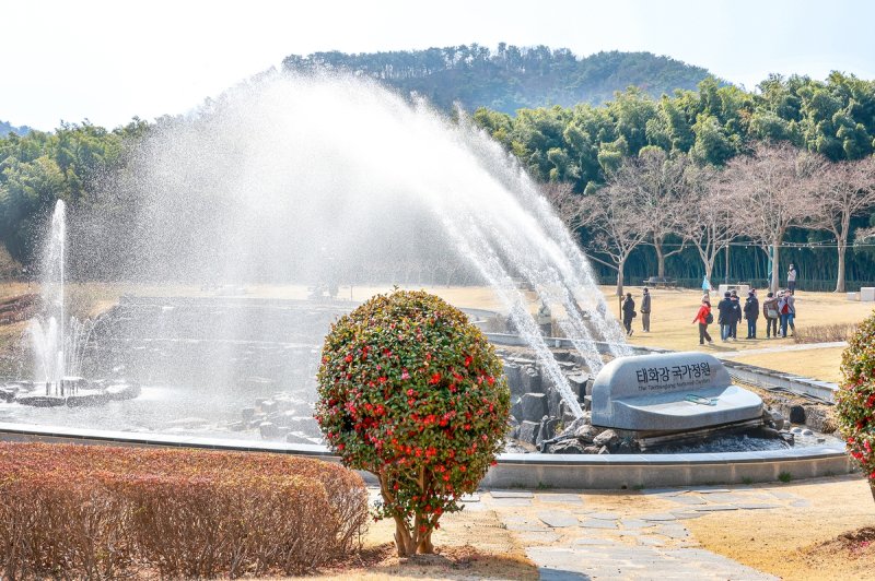 [여행honey] 죽음의 강에서 태어난 생명의 성지…태화강 국가정원 (출처=연합뉴스)