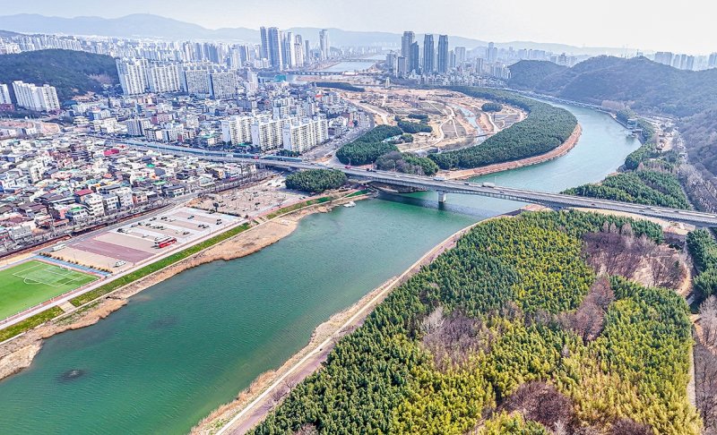 [여행honey] 죽음의 강에서 태어난 생명의 성지…태화강 국가정원 (출처=연합뉴스)