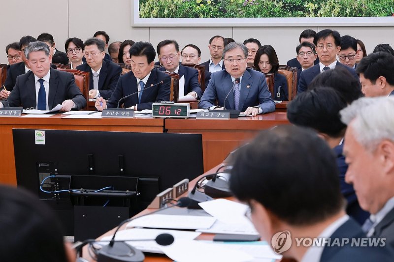 외통위 전체회의에서 답변하는 조현 외교장관 (출처=연합뉴스)