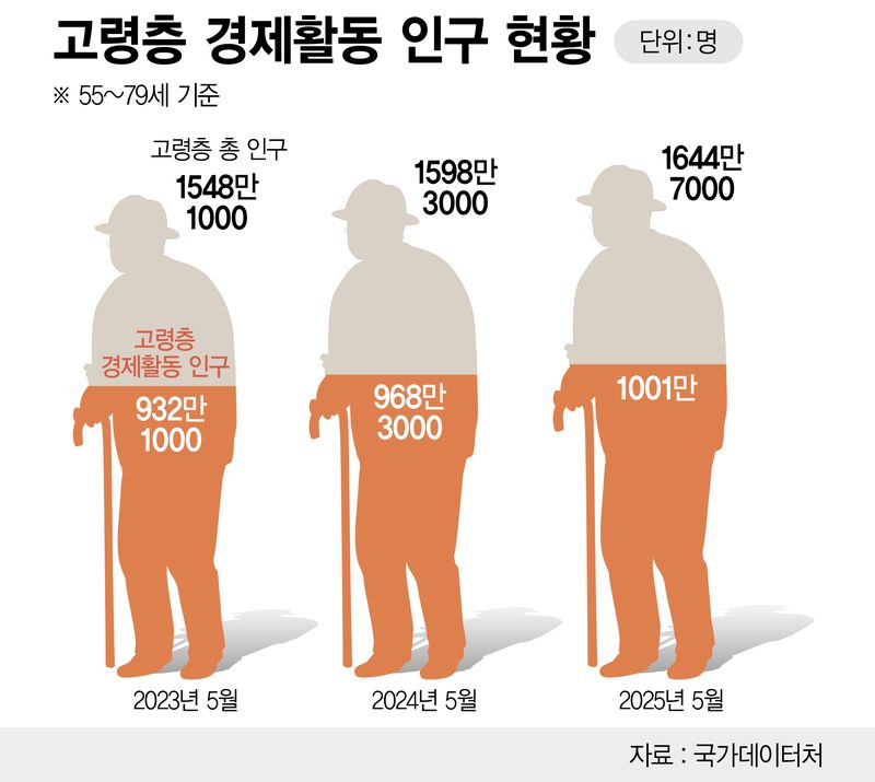 고령층 경제활동 상황 /그래픽=정기현 기자