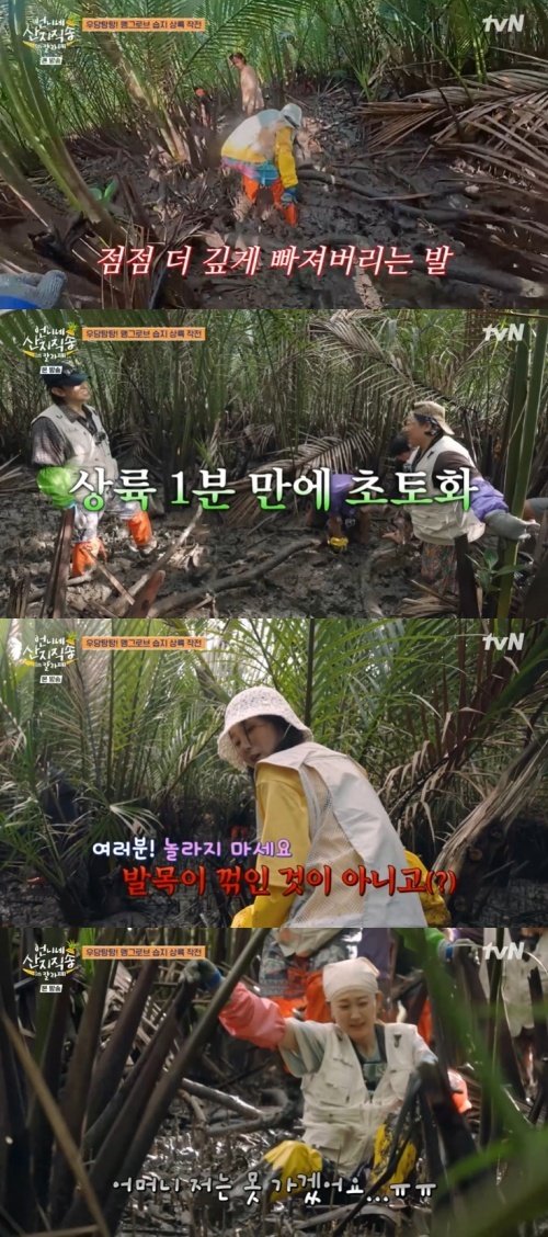 덱스 "준면 누나, 안 되겠어"…맹그로브 습지서 '위기'