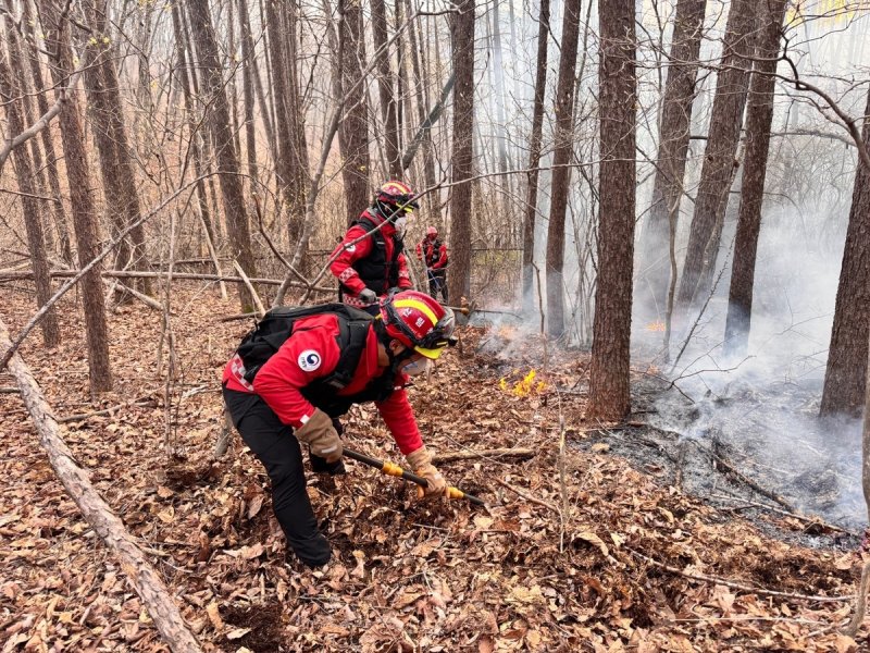 평창 대관령 산불 (출처=연합뉴스)