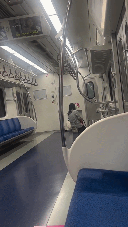 심야 시간대 경의중앙선 전동열차 안에서 20대 여성 탑승객이 소화기를 무단으로 분사해 경찰에 붙잡혀 조사를 받고 있다. /사진=온라인 커뮤니티