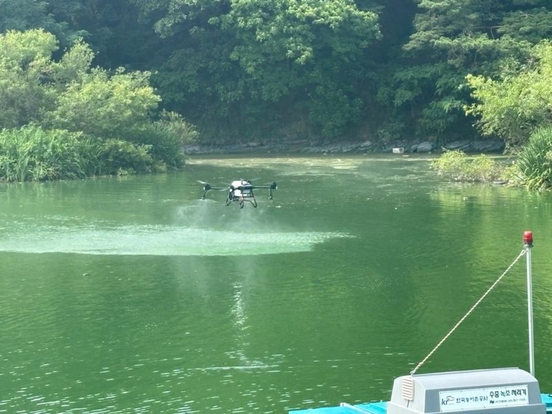 올여름부터 '녹조계절관리제' 첫 시행…낙동강 8개 보 순차 개방