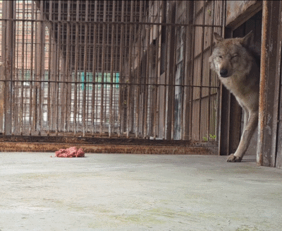 /사진=대전 오월드 SNS 갈무리