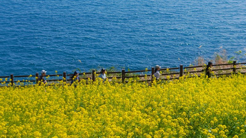 오레브리조트와 맞닿아 있는 제주 올레길 7코스