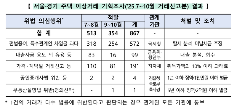 서울·경기 주택 이상거래 기획조사 유형별 적발 현황. 국토교통부 제공