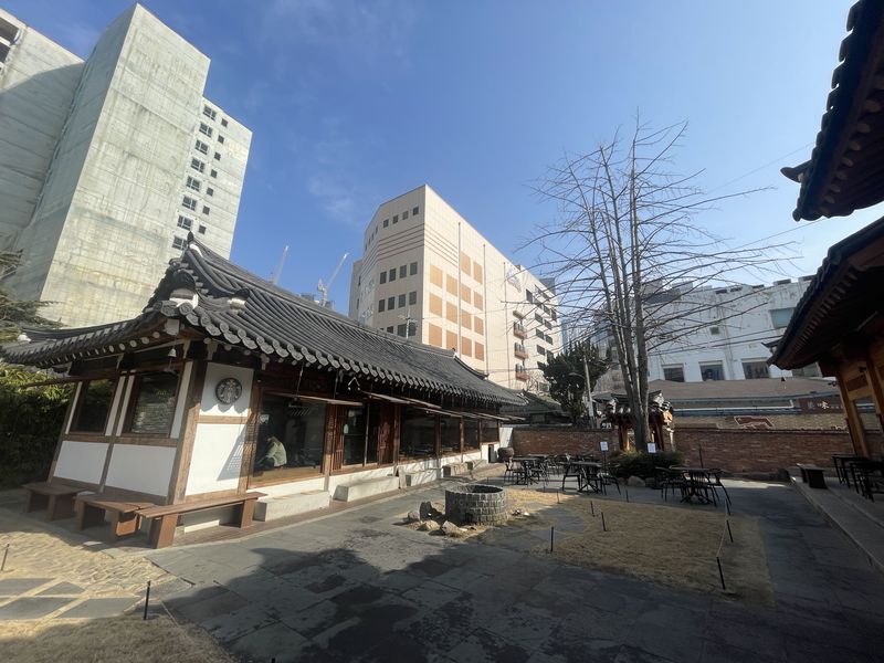 스타벅스 대구종로고택점은 우물과 은행나무가 있는 마당을 사이에 두고 서재균 고택의 안채와 새로 지은 신축 한옥이 마주보고 있다. /사진=서윤경 기자