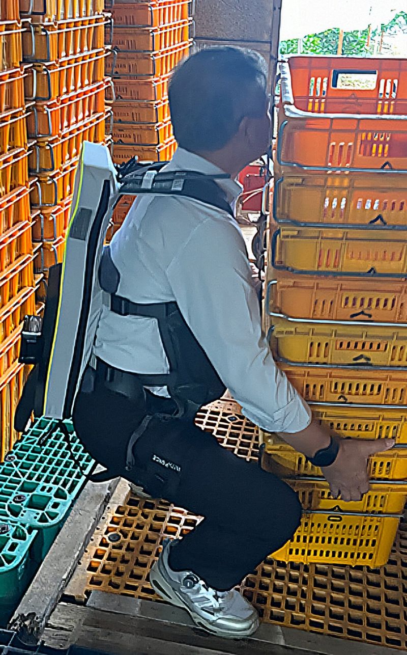 제주지역 감귤 농가에서 웨어러블 로봇 임대 서비스 참여 농가 관계자들이 장비를 옮기고 있다. 제주도는 지난해 도내 35개 농가에 시범 보급한 뒤 올해 임대 서비스로 전환했다. /사진=제주특별자치도 제공